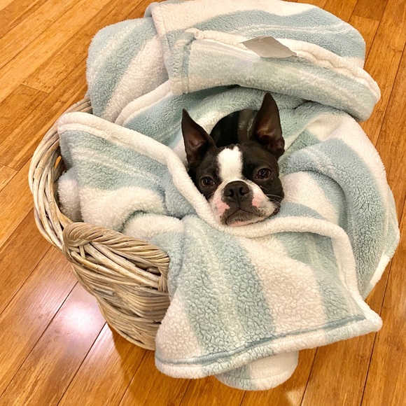 WELCOME TO MY CLOSET! - Picture 5 of 5